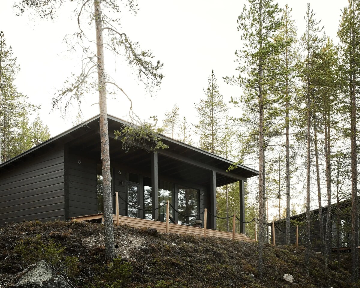 An Arctic GlassHouse among pine trees at Arctic TreeHouse Hotel